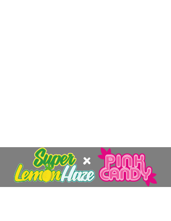 Super Lemon Haze x Pink Candy