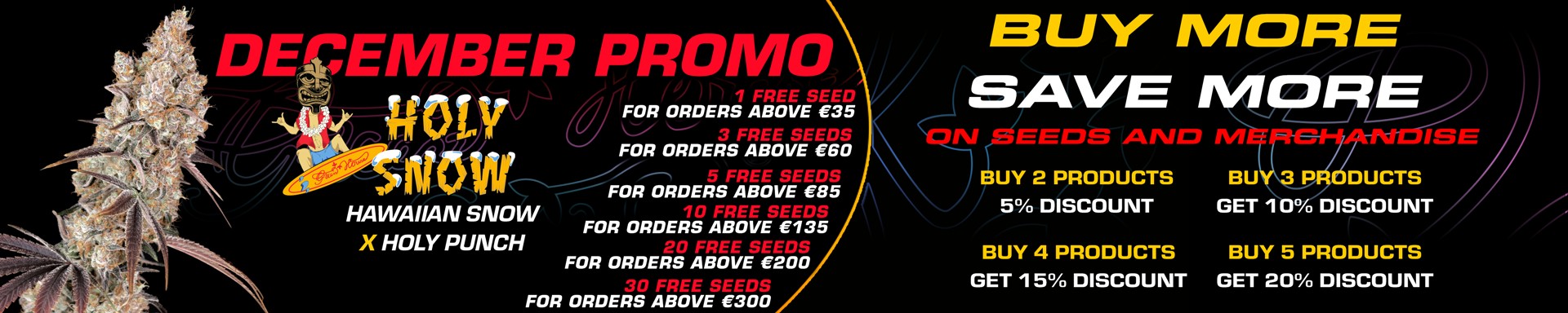 December Promo 2025 Holy Snow