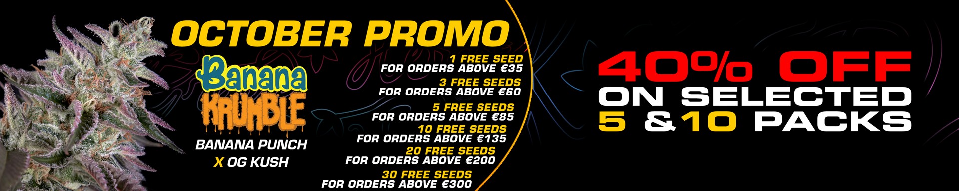 October Promo 2025