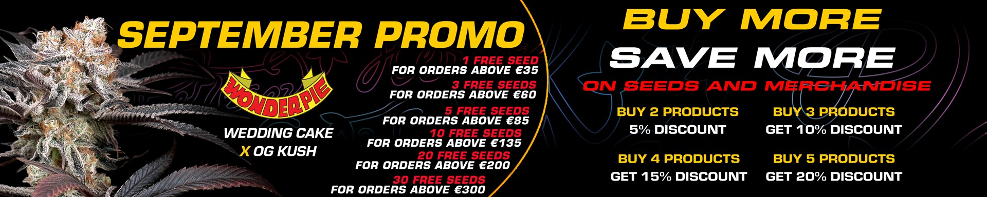 September Promo 2025 Wonder Pie