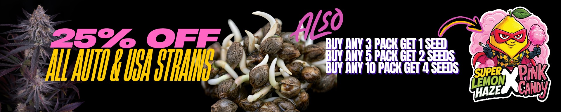 Autos and Legends on sale: 25% Off + Free Seeds