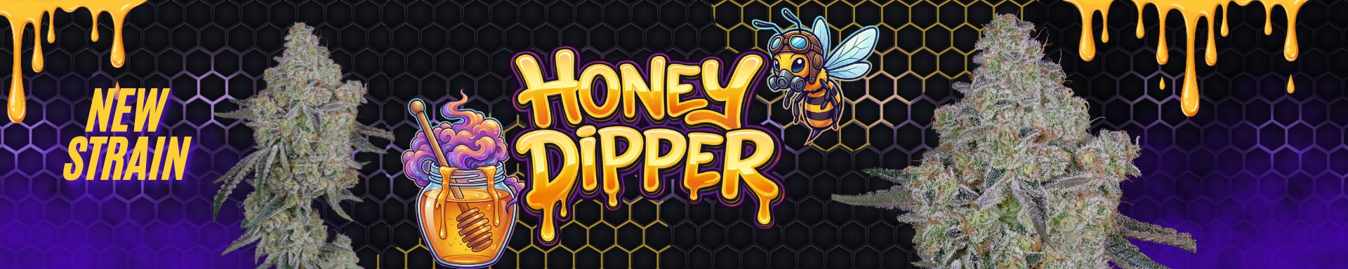 honey-dipper