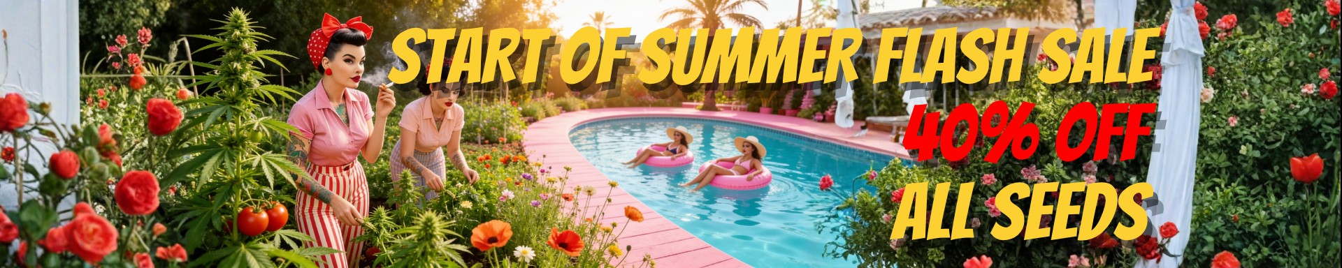 Summer Solcisticey 2026