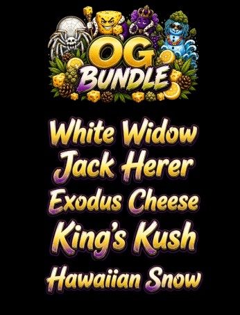 OG Bundle
