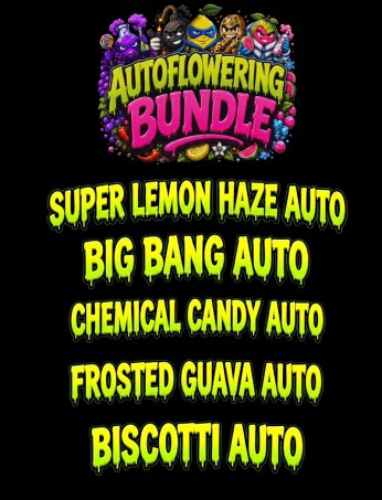 Autoflowering Bundle
