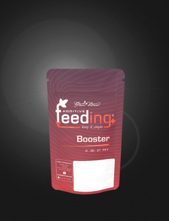 Booster