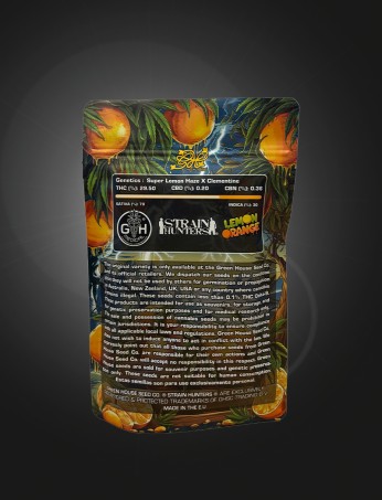 lemon orange stashbag