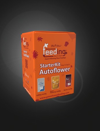 Starter Kit Autoflower