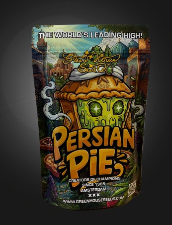Persian Pie Stashbag XL