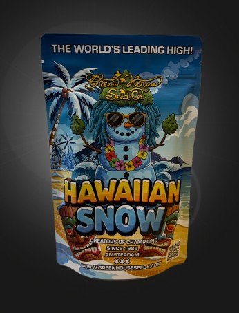 Hawaiian Snow Stashbag XL