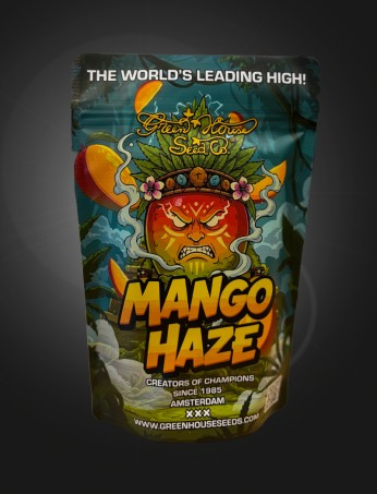 Mango Haze Stashbag XL
