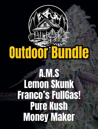 Outdoor Bundle