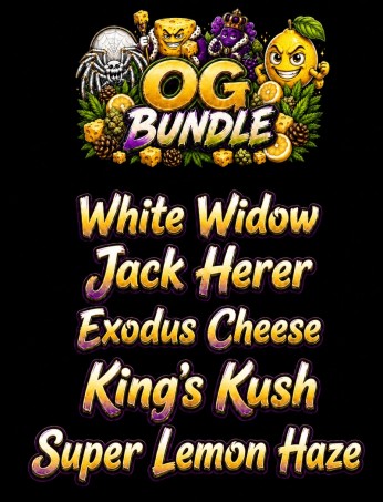 OG Bundle