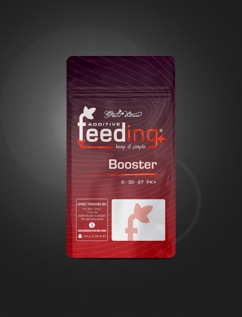 Booster 125g