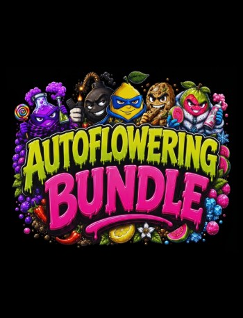 Autoflowering Bundle