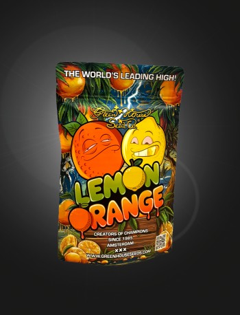lemon orange stashbag