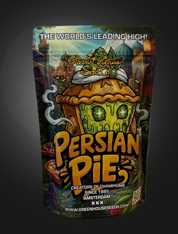 Persian Pie Stashbag XL
