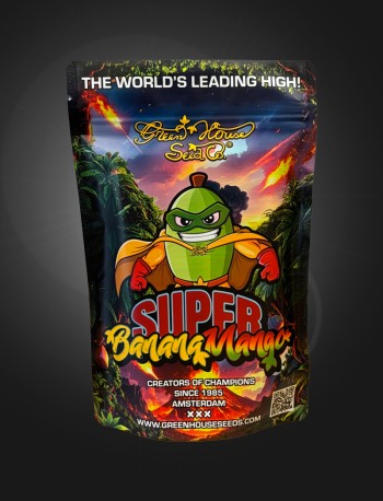 Super Banana Mango Stashbag XL