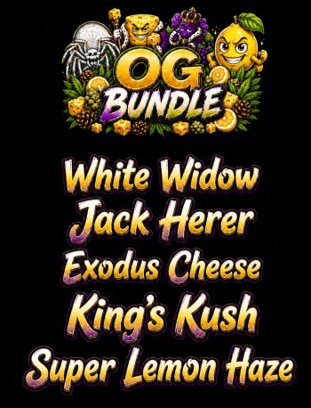 OG Bundle